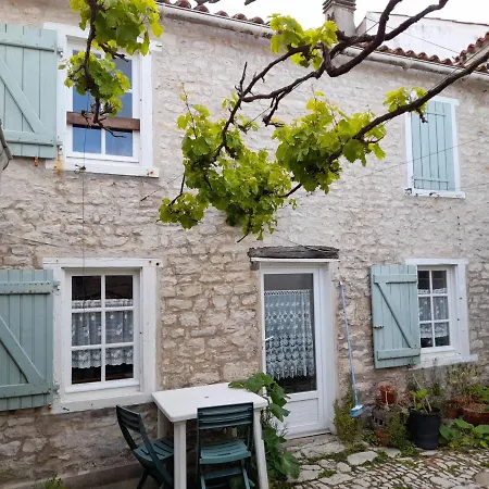 Treille Sainte-Marie-de-Ré